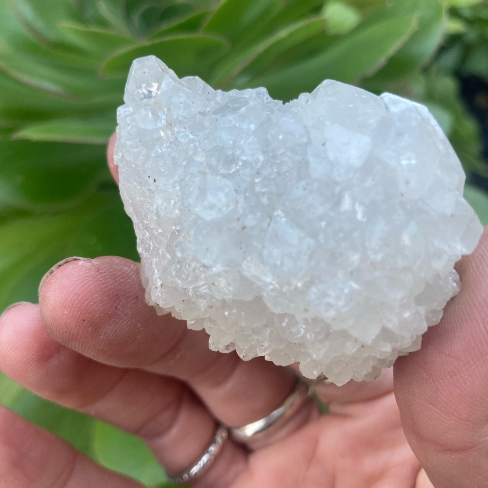 Beautiful apophyllite crystal cluster from India
